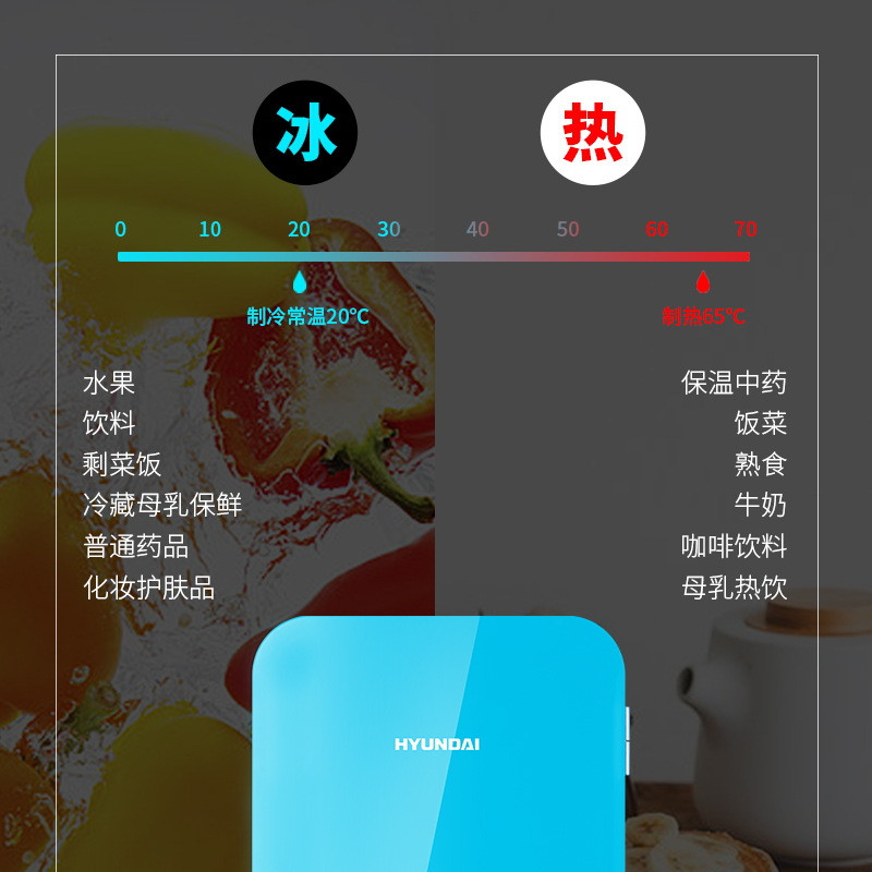 汤河店 6L小冰箱迷你宿舍小型家用车载冰箱车家两用制冷暖箱a