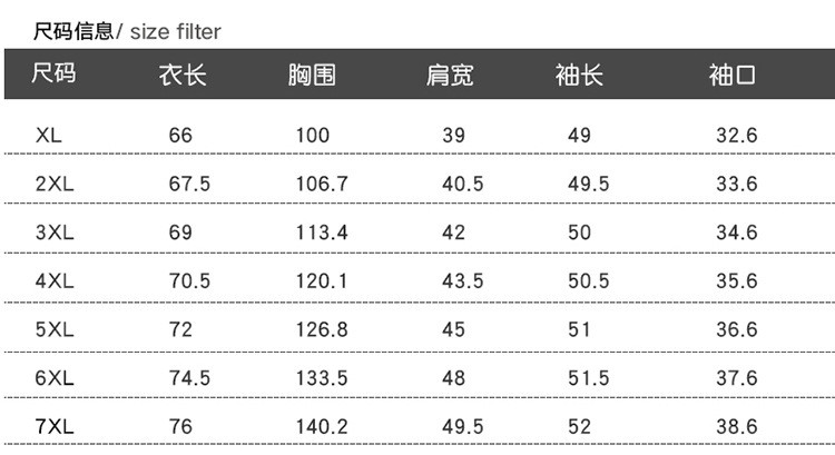 汤河之家 中老年大码女装衬衫长袖夏季新款妈妈上衣加肥加大200斤奶奶夏装a