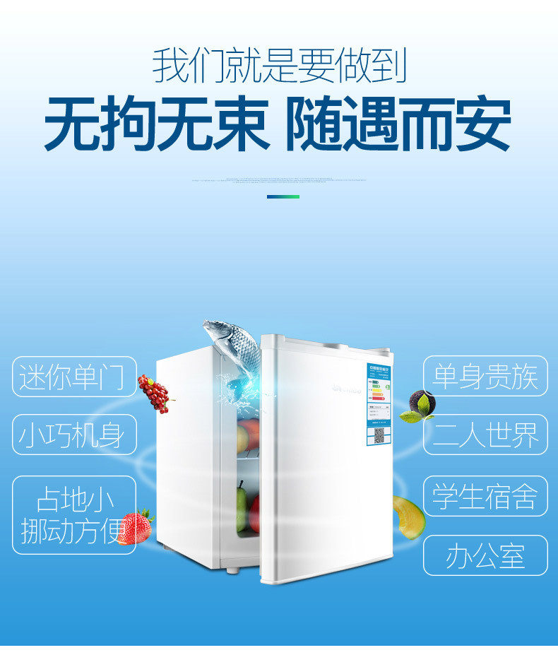 汤河店  BCD-50单门小冰箱租房家用小型电节能冷藏单门式a