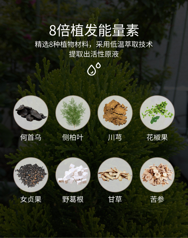 汤河店 索芙特防脱滋养液55ml生发剂育发液密发增发防掉发脱发生发水