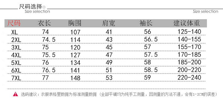 洋湖轩榭 冬季新款大码中老年连帽夹克棉服外套加肥加大胖妈妈棉服外套a