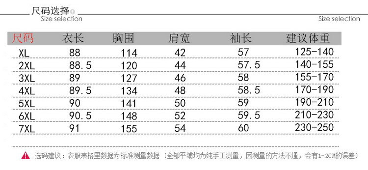 洋湖轩榭 冬季新款棉服中老年奶奶装特体大码加厚棉袄加肥加大胖妈妈a