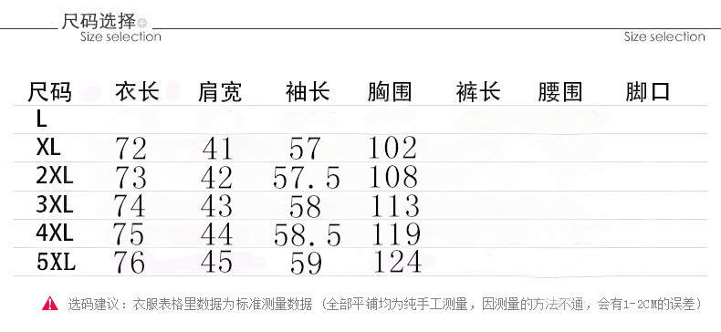 洋湖轩榭 老年人妈妈秋冬装外套加棉上衣60岁70老太太衣服80奶奶装时尚大衣a