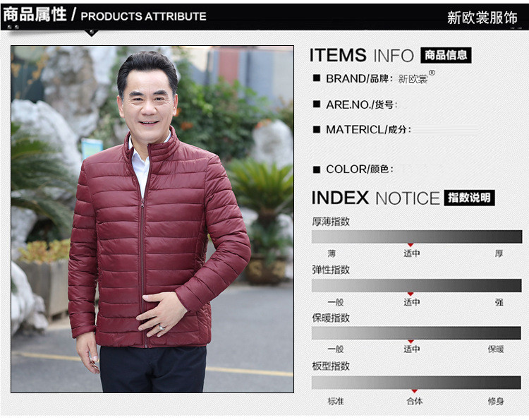 洋湖轩榭 秋冬季新款中老年人男装立领轻薄棉衣中年男士爸爸装棉服a