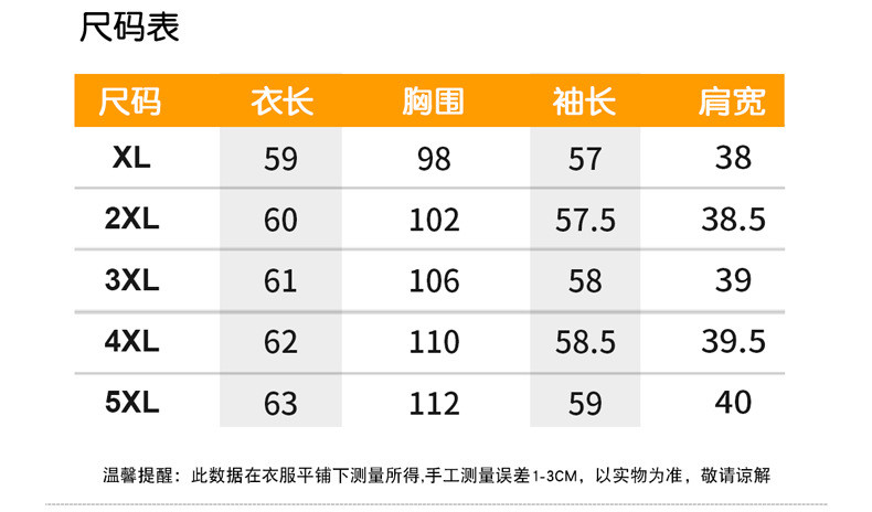 洋湖轩榭 中老年女短袖雪纺衫夏装宽松上衣2021新款妈妈大码圆领小衫上衣