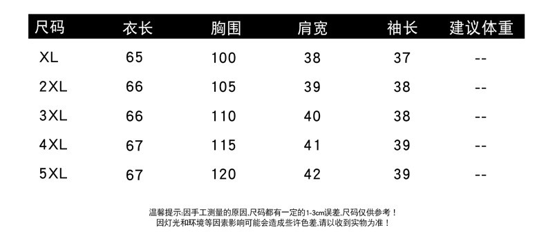 洋湖轩榭 大码妈妈装中袖T恤上衣2021夏季女式打底衫休闲宽松t恤小衫遮肚