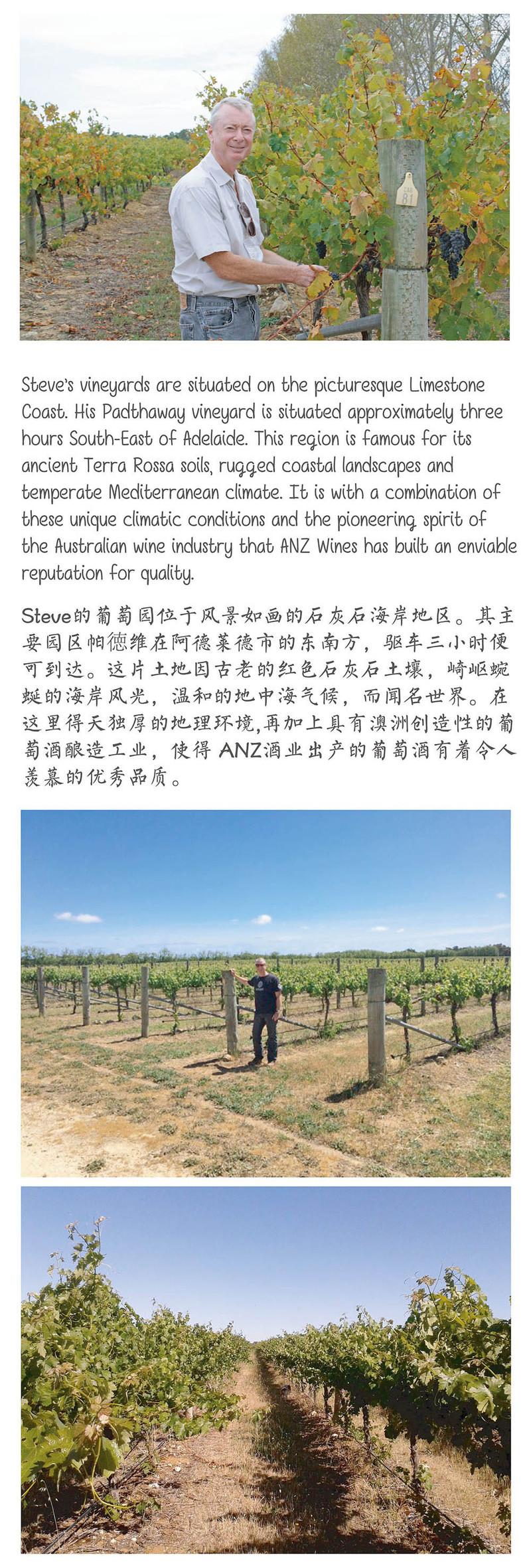 南澳石灰石海岸·埃尔金谷赤霞珠干红 Elgin Valley Cabernet 2014年