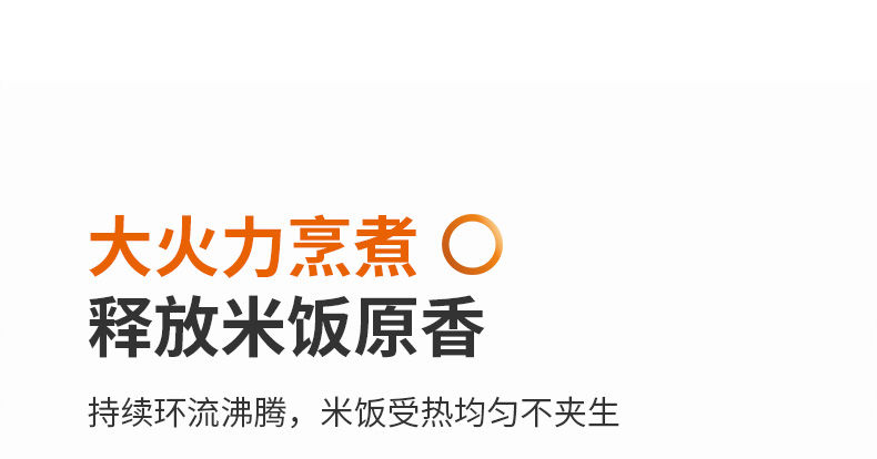 九阳/Joyoung 电饭煲家用饭锅3L升多功能预约小型2-4人柴火饭不粘内胆