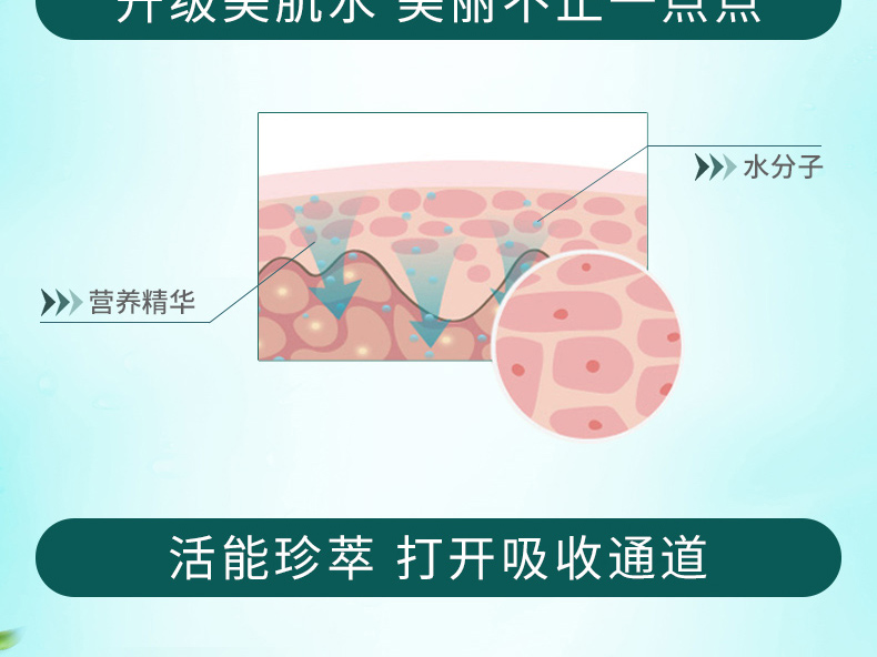 百雀羚气韵肌源透润恒采美肌水100ml 补水保湿滋润 化妆水爽肤水护肤女  肤色提亮 收毛孔