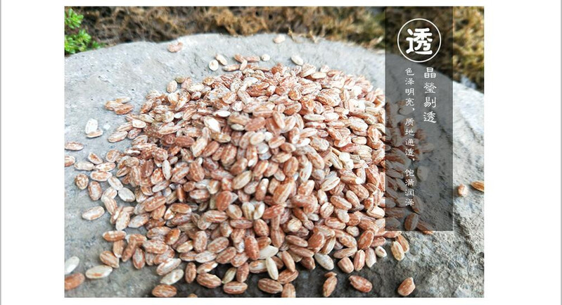 【景宁600农产品】月子红米5斤