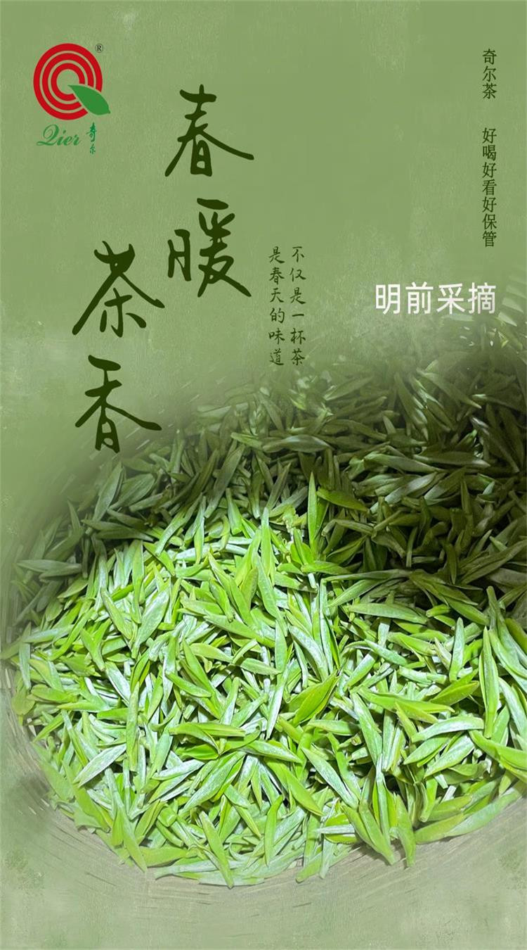 奇尔茶业 金奖惠明 2024新茶上市 明前茶 头道茶 绿茶