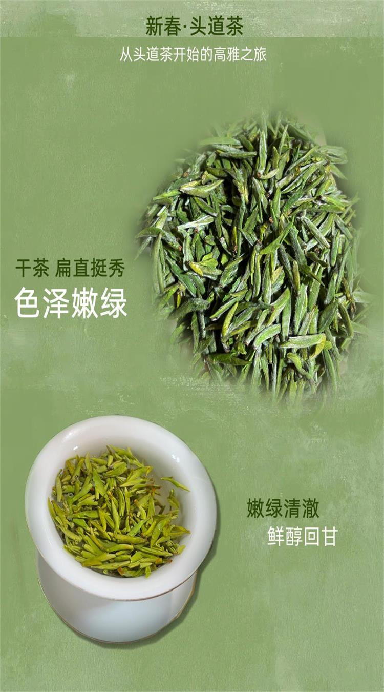 奇尔茶业 金奖惠明 2024新茶上市 明前茶 头道茶 绿茶