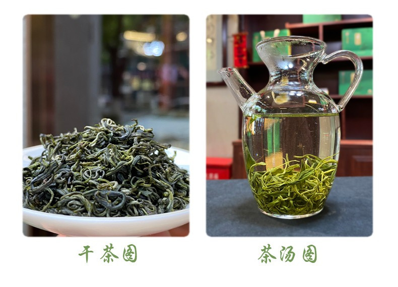 奇尔茶业 金奖惠明茶 奇尔茶 景宁高山绿茶办公自饮装伴手礼