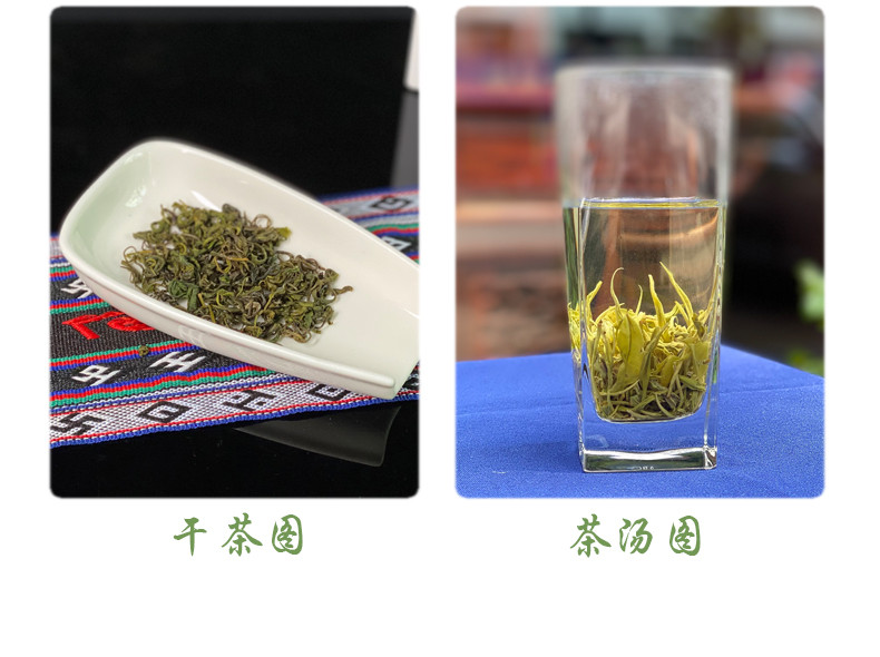 奇尔茶业 金奖惠明茶 奇尔茶 景宁高山绿茶办公自饮装伴手礼