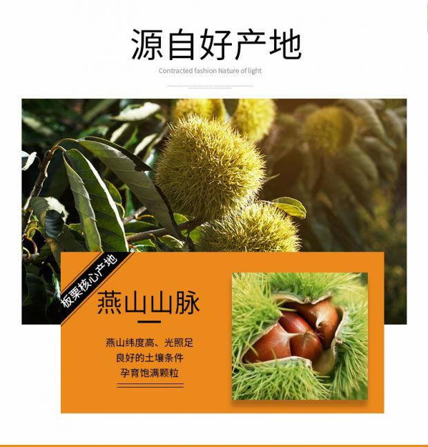 味滋源 板栗仁 栗子板栗仁 坚果炒货干果零食特产 100g*2袋