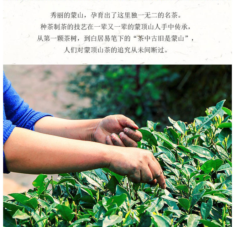 【川邮自营】2020名山新茶-蒙山香茶(烘青）250g/袋 包邮 （陆续发货）