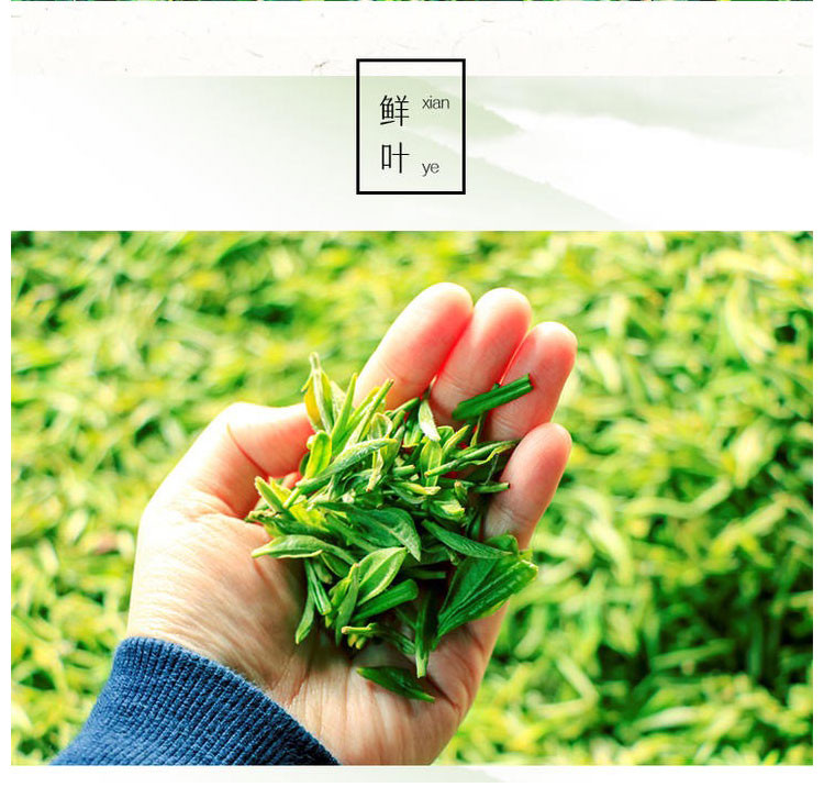 【川邮自营】2020名山新茶-蒙山香茶(烘青）250g/袋 包邮 （陆续发货）