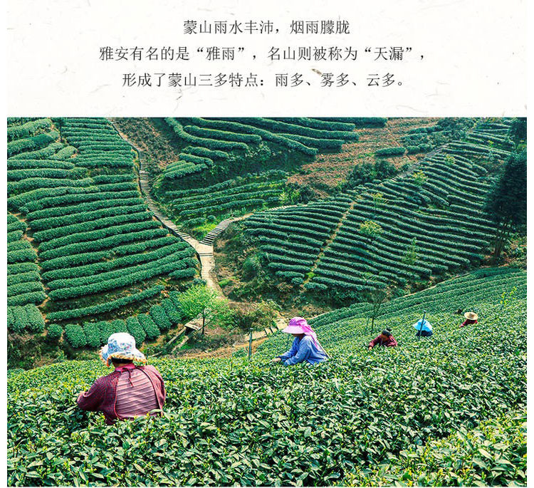 【川邮自营】2020名山新茶-蒙山香茶(烘青）250g/袋 包邮 （陆续发货）