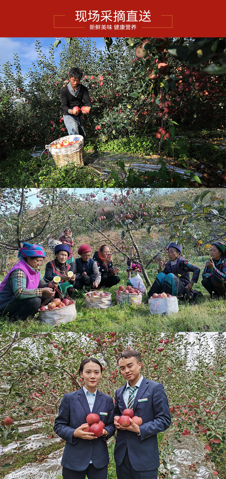 【川邮实惠】凉山盐源糖心苹果 4枚家庭装带箱约2斤  盐源苹果 陆续发货