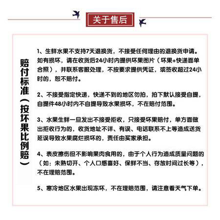 【双11甜蜜价】川邮自营 四川成都 爱媛果冻橙5斤装 单果果径50-60mm 48小时内发货