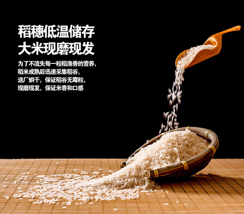  【会员专享】广安岳池稻鱼香生态香米5公斤（陆续发货）