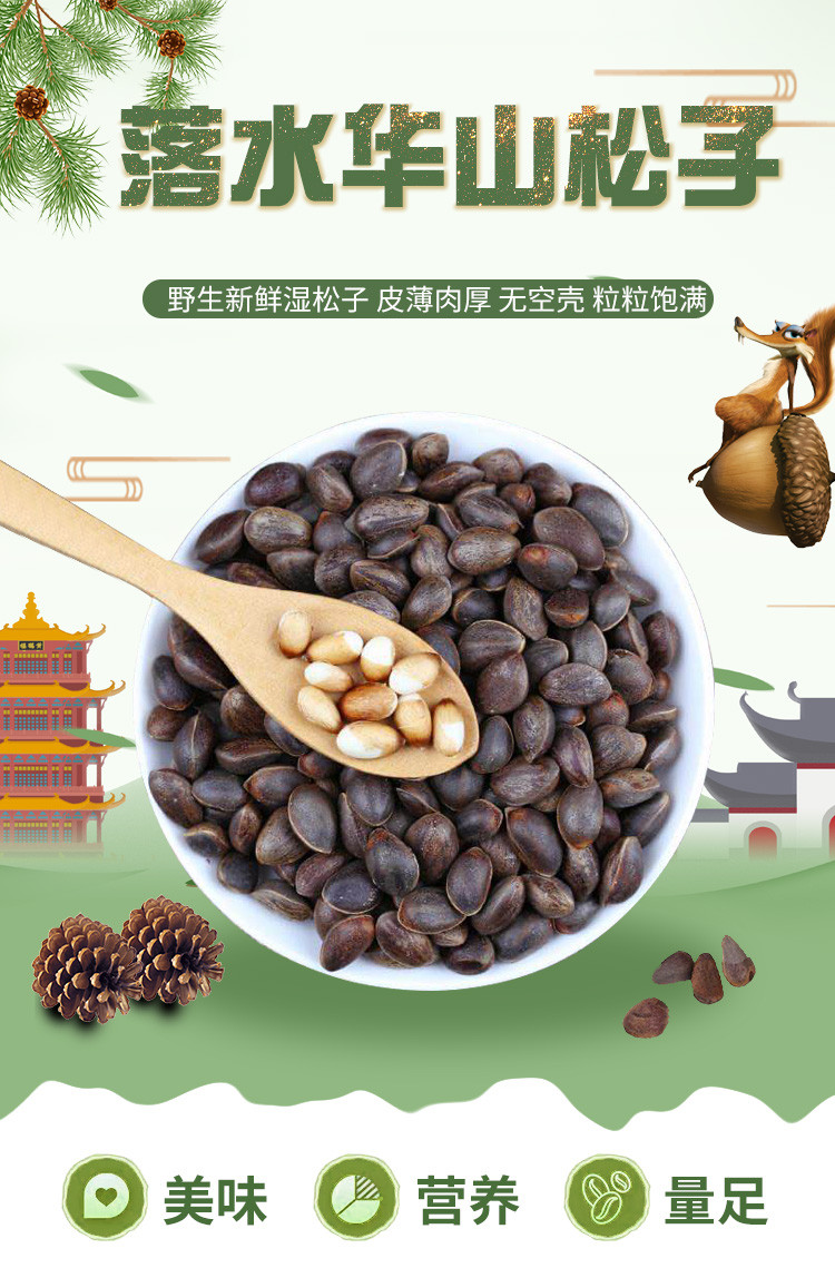 【川邮实惠】 大凉山会东精品落水松（原味生松子）规格可选500g/750g