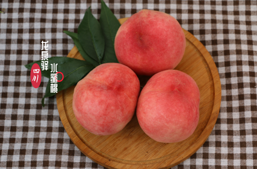 【月月有爆款】成都龙泉水蜜桃实惠果脆桃4斤（9-12枚）陆续发货中
