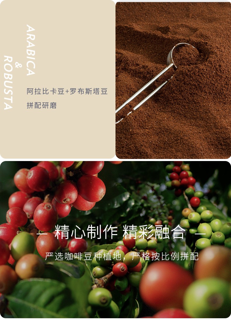 意大利进口 乐维萨（Lavazza）经典浓醇咖啡粉 拉瓦萨 现磨 经典冲饮咖啡粉250g