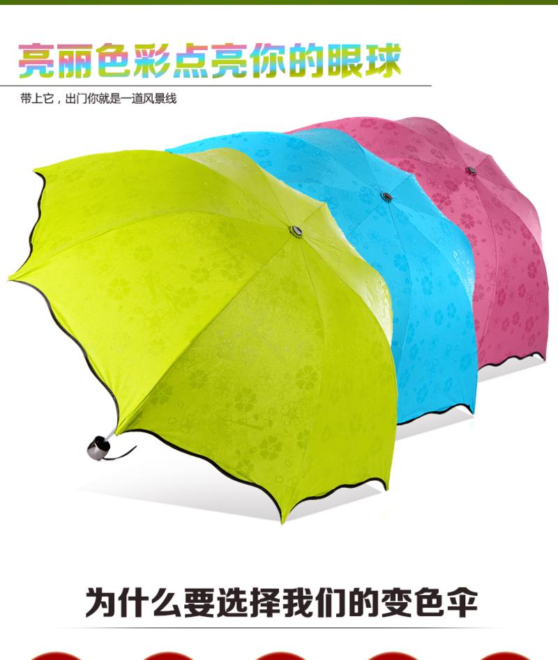 建德馆千岛湖遇水开花晴雨伞折叠创意女太阳伞黑胶防紫外线遮阳伞超强防晒