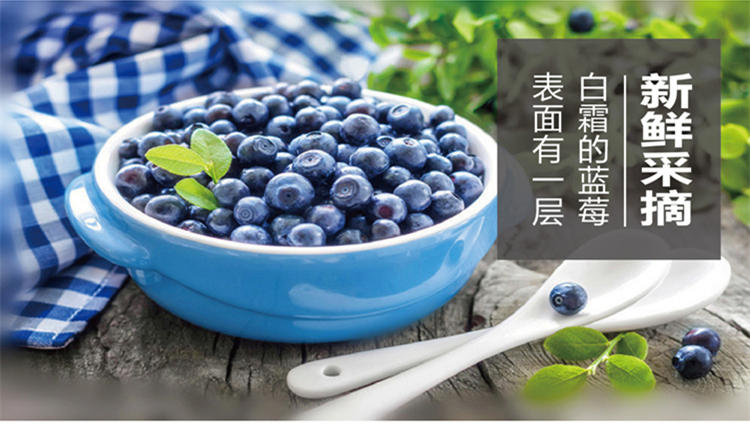 航头 建德馆 平坡谷生态有机新鲜蓝莓鲜果买3盒盒375g江浙沪顺丰包邮
