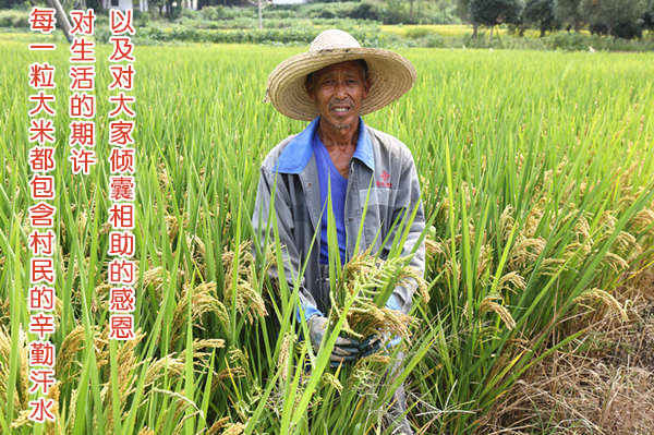 建德馆 助农扶贫 建德农家富硒优米2.5KG/袋 无公害大米江浙沪包邮