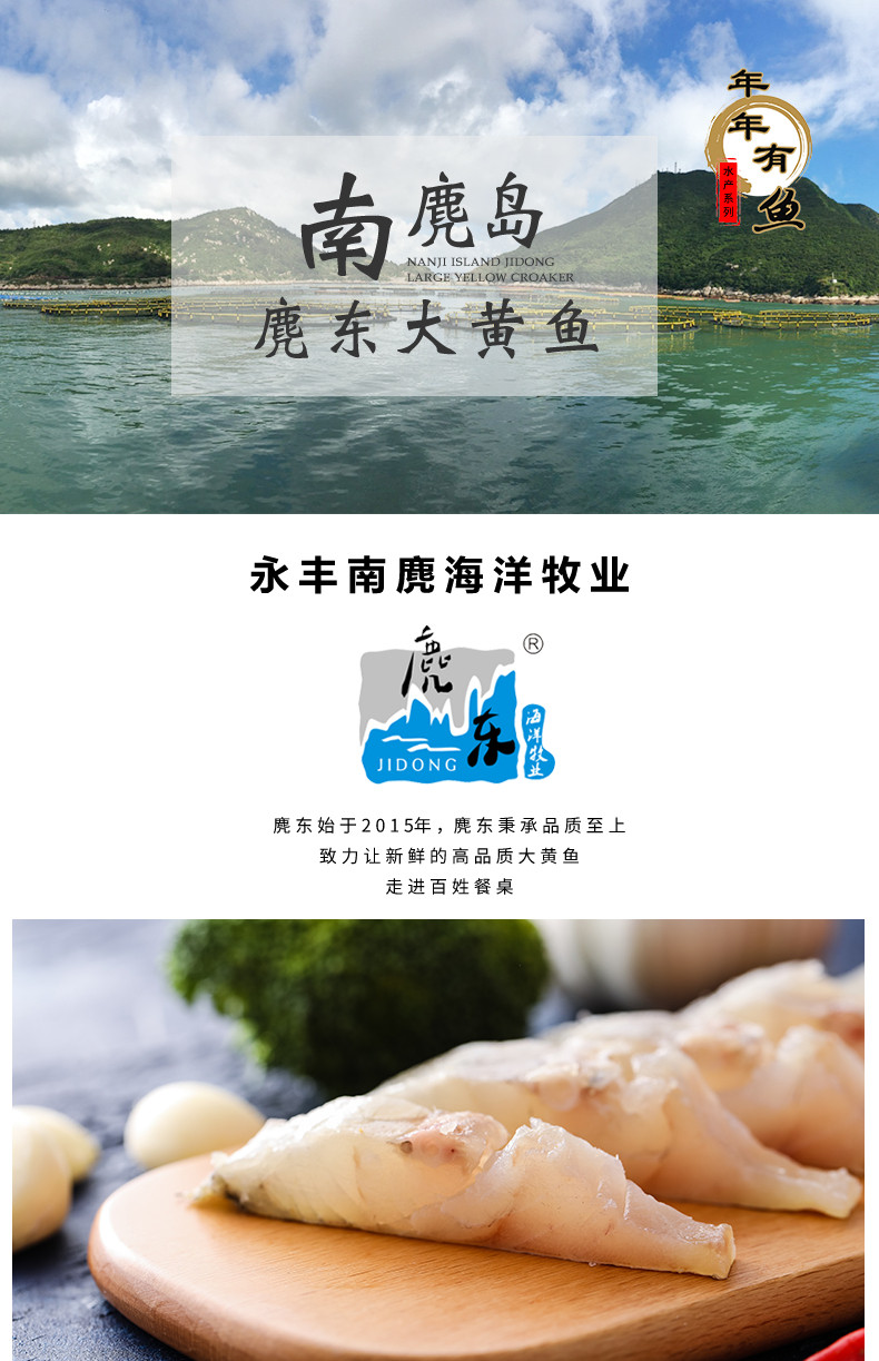 【产地直发】温州特产麂东南麂岛冰鲜大黄鱼