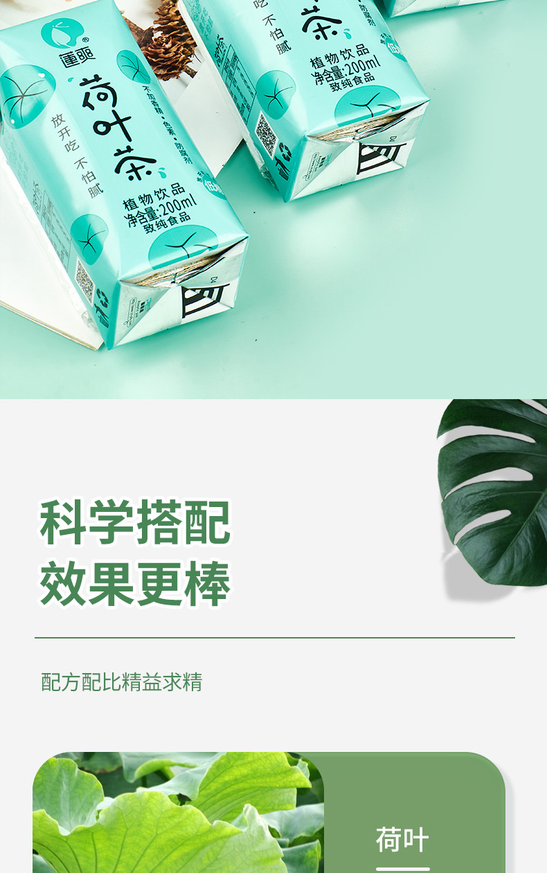 莲爽 【江西邮政】莲爽荷叶茶 金银花桑叶植物凉茶 200ml特惠夏日清爽低糖饮料整箱 200ml*6盒