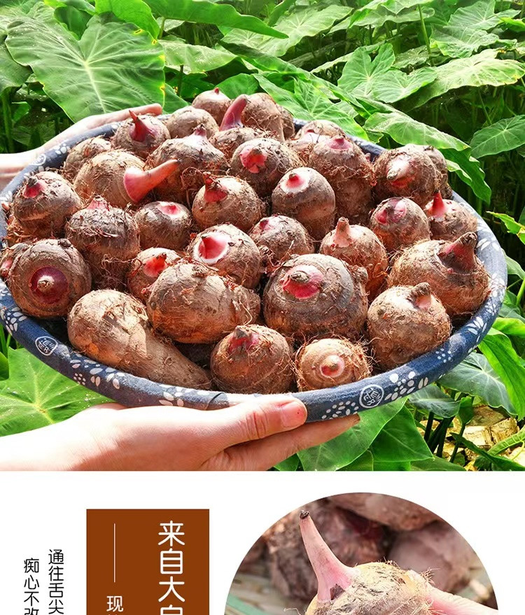 姥姥家 【缙邮农品】新鲜芋头 带芽芋艿  每份250g