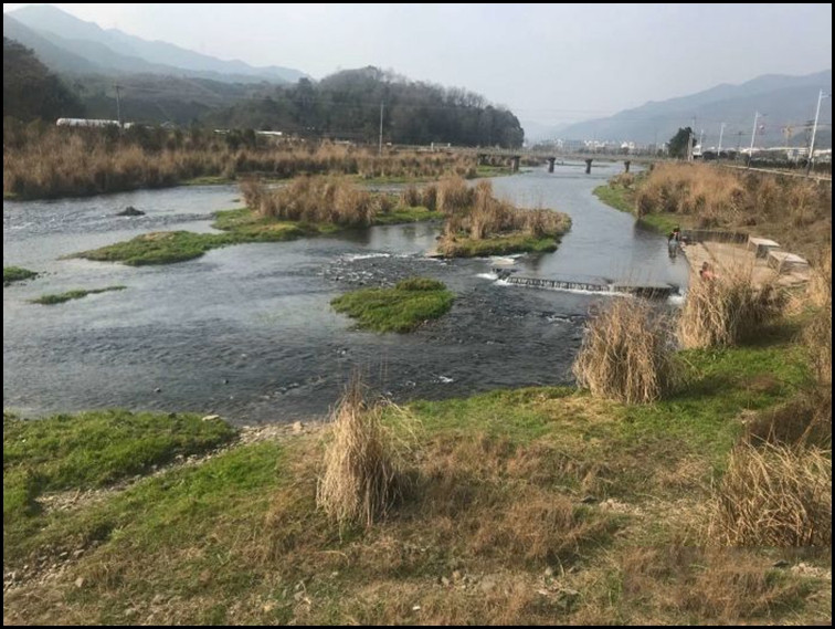 东厢记 【浙江宁波】章溪小娘樟村切面网红碱水面 章水特产樟村盘面