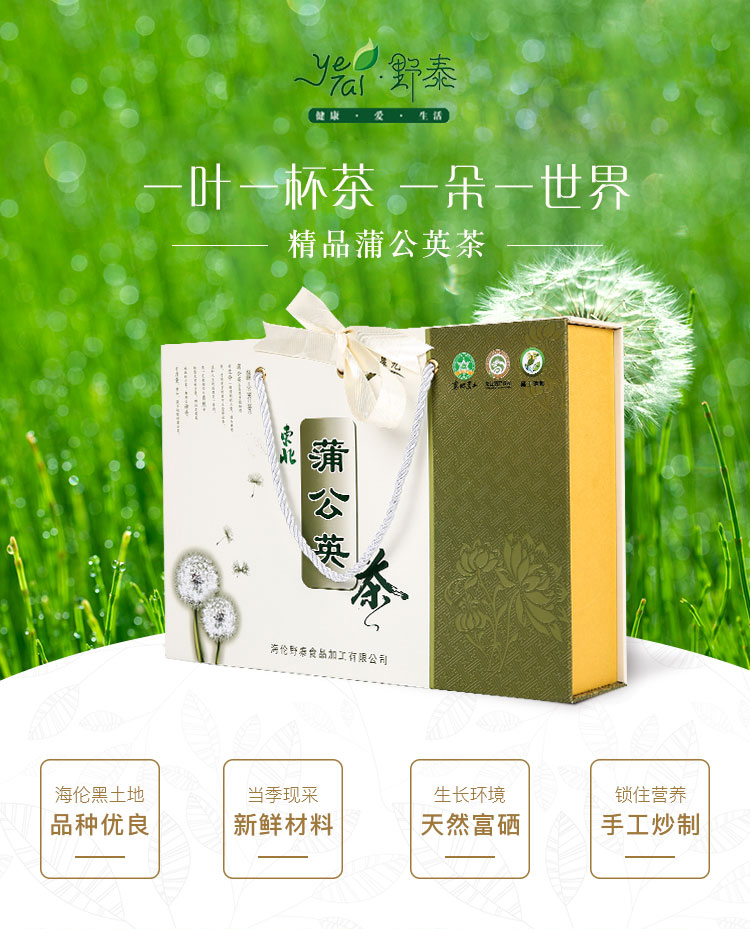 野泰精品蒲公英茶7g*10袋*2盒