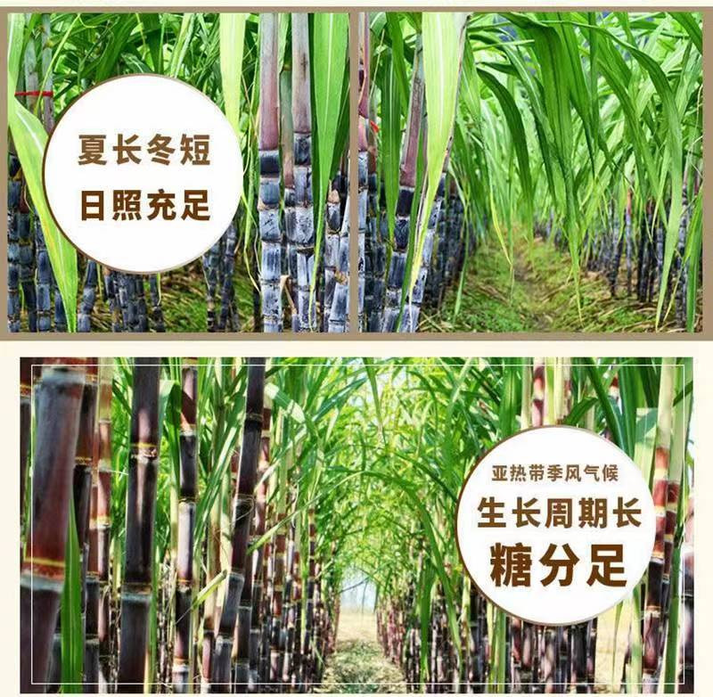 糖先森 正宗广西纯正红糖3袋(400g*3)初榨甘蔗汁熬制【防城港】