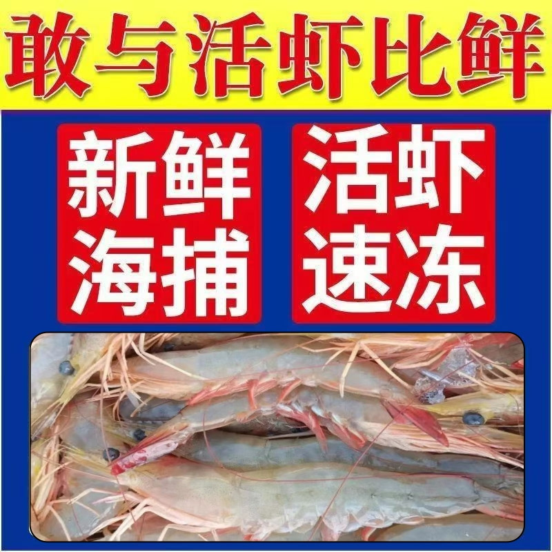 邮鲜生 【企沙麻虾】原汁原味3斤/5斤生猛海虾冷冻发货EMS特快包邮