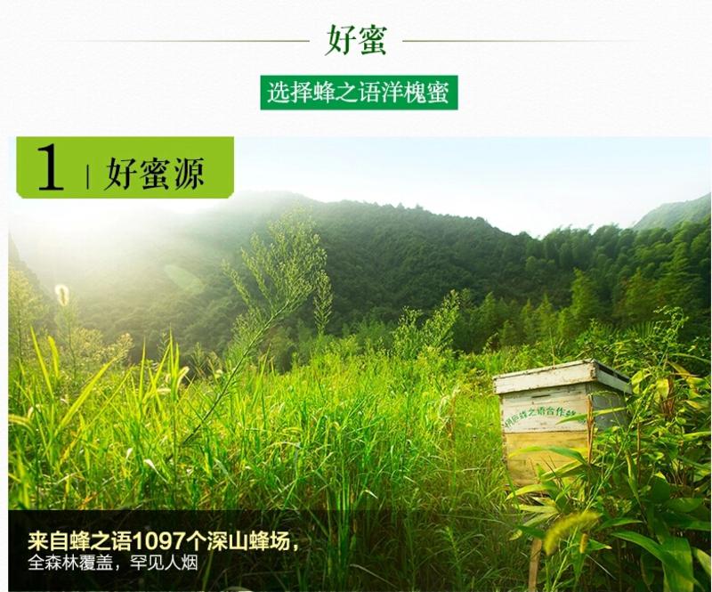 【桐庐馆】 蜂之语 洋槐蜜950G 纯天然野生农家自产自然成熟土蜂蜜