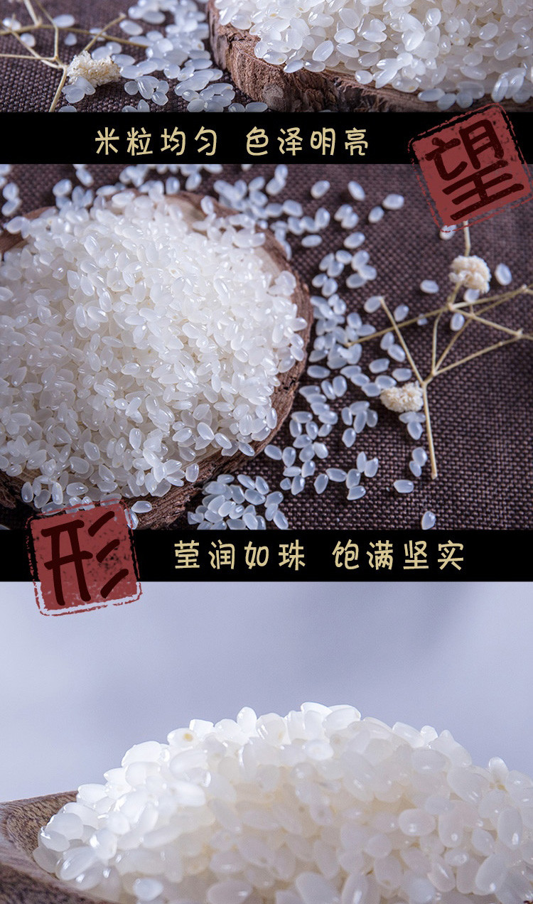 十月稻田 珍珠米 500g×2