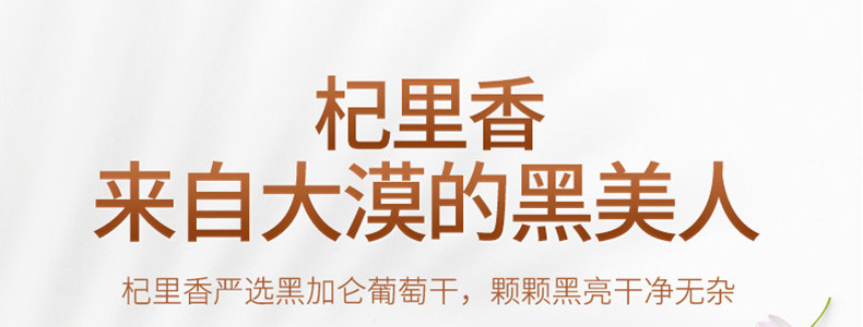 杞里香 新疆黑加仑葡萄干 225g罐装 地道吐鲁番风味 颗粒饱满肉质肥厚