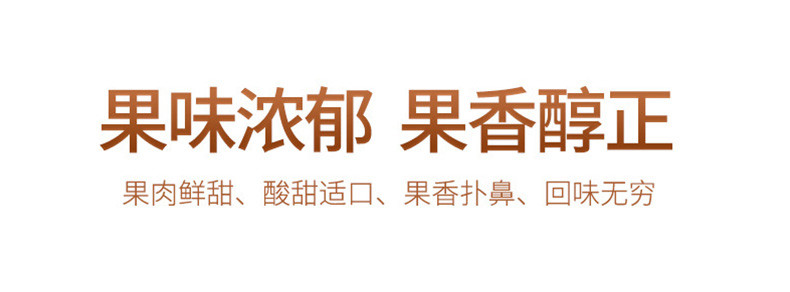 杞里香 新疆黑加仑葡萄干 225g罐装 地道吐鲁番风味 颗粒饱满肉质肥厚