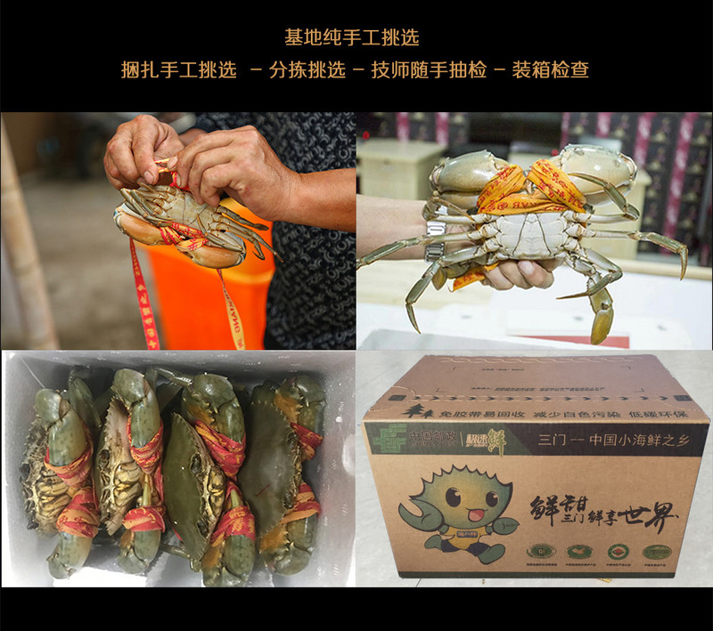 三门青蟹鲜活大螃蟹海蟹肉蟹黄油蟹 现货产地直发 2只装净重1斤左右