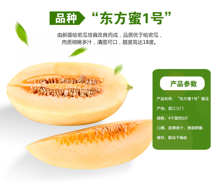 台州土特产东方密1号农家现采现发甜瓜孕妇新鲜水果香脆可口9斤