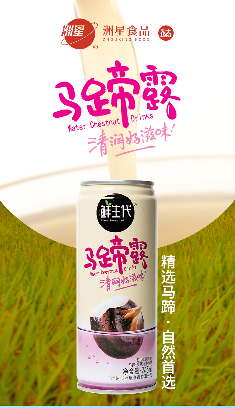 果蜂 【广州馆】洲星马蹄露 245ml*8罐/箱