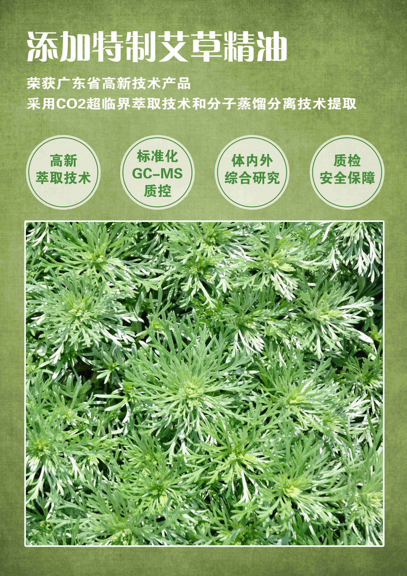 果蜂 【广州馆】家庭医生  健康之艾 颈椎贴 12贴/盒×4盒