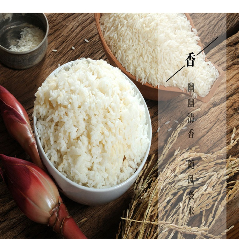 江丰牛 【广州馆】江丰小牛油粘米5kg（红色包装）