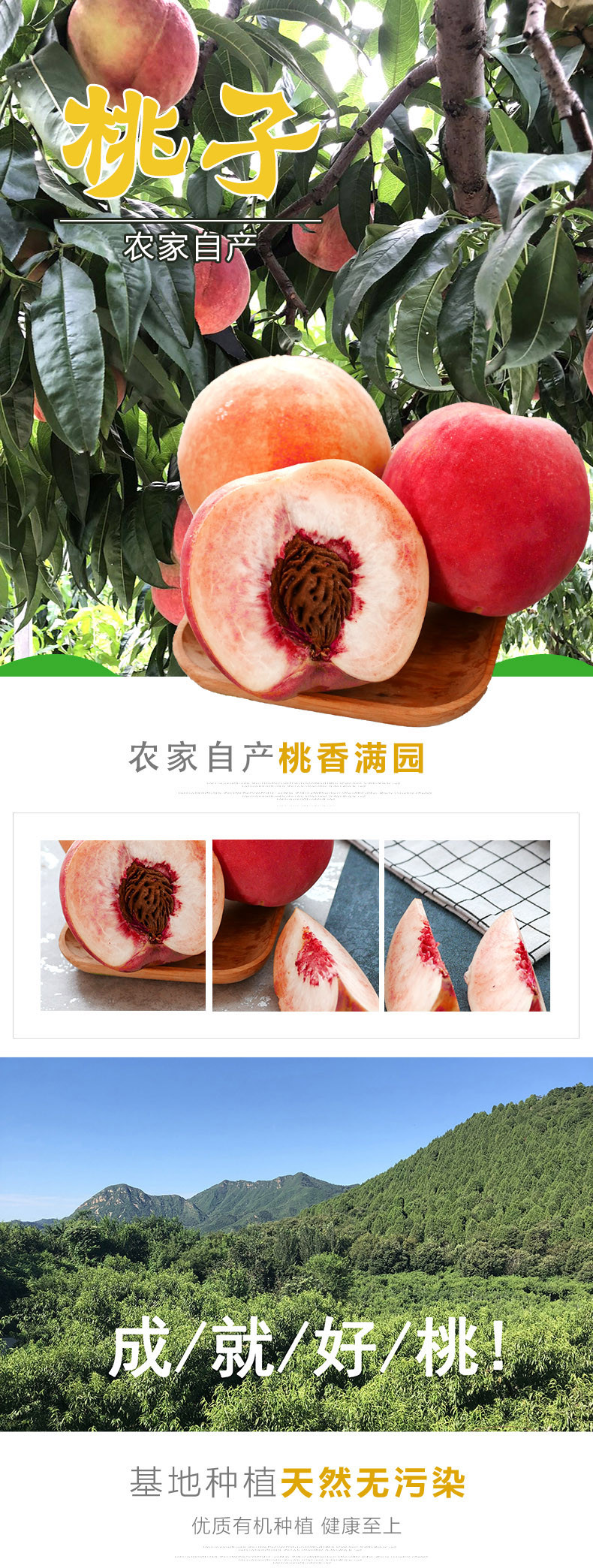 农家自产 桃子8斤 红不软毛桃桃子水蜜桃