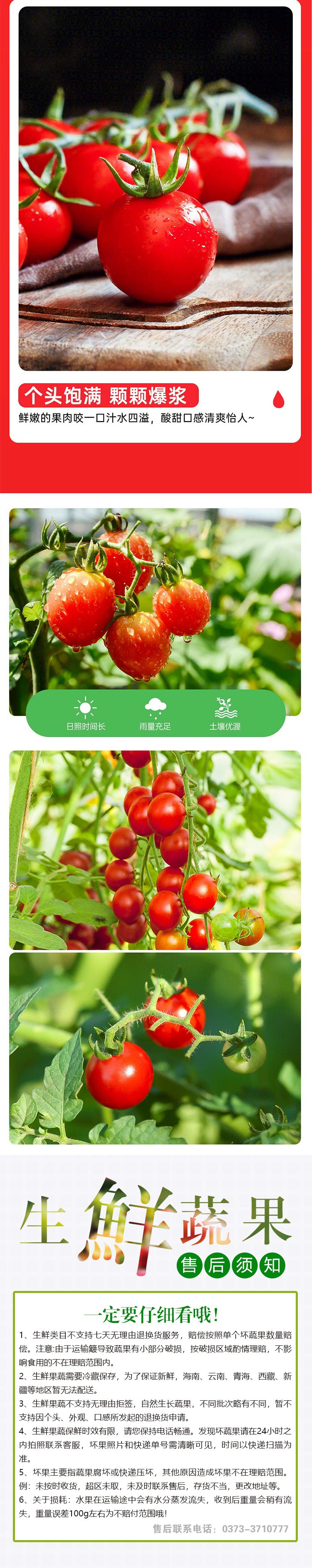 【直播节活动】釜山88 圣女果非千禧小番茄西红柿当季时令新鲜水果 1500g/箱