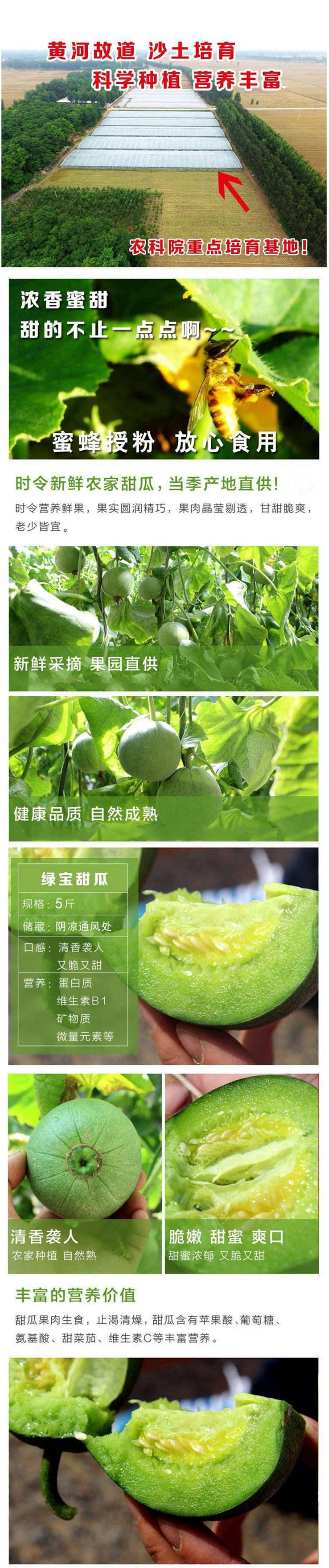农家自产 【河南邮政】绿宝甜瓜 5斤装（6-9个） 新鲜水果甜瓜脆瓜绿宝石香瓜